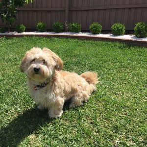 Meet your Posher, Shanan